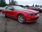 Ford Mustang 2013