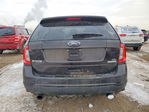 Ford Edge 2013
