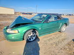 Ford Mustang 1999