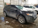 Ford Edge 2013