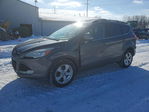 Ford Escape 2013