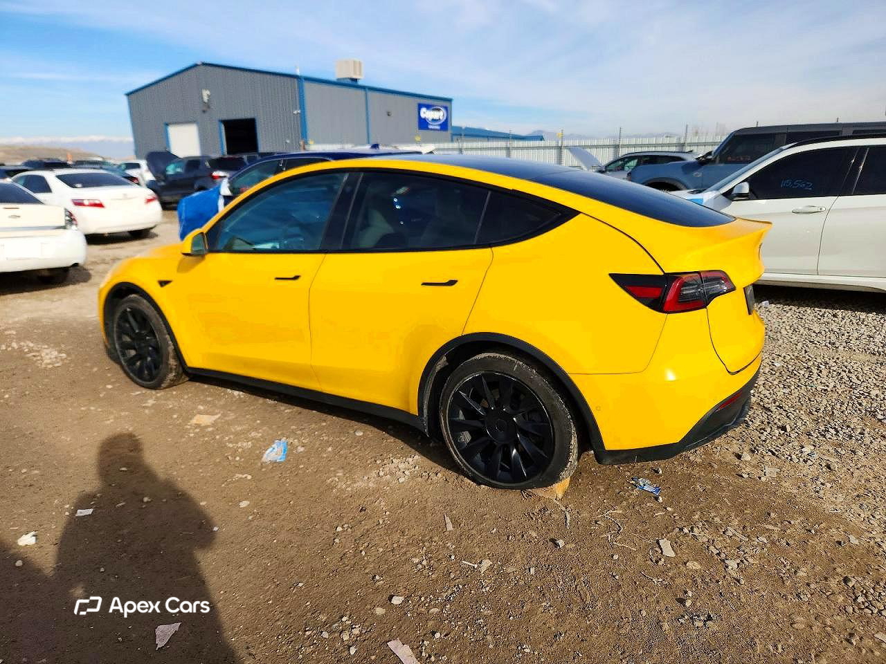 Tesla Model Y 2021