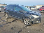 Ford Escape 2013