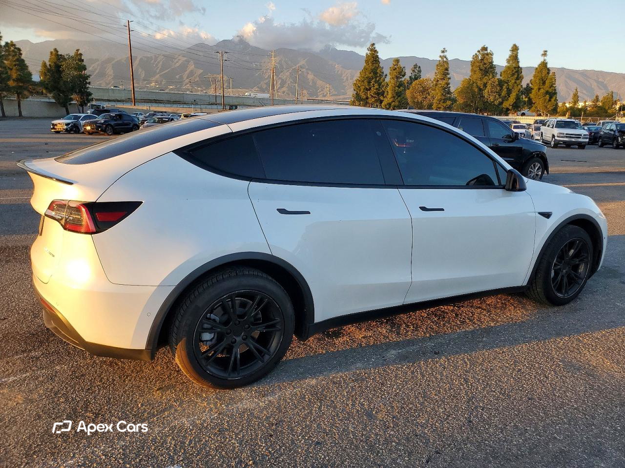 Tesla Model Y 2020