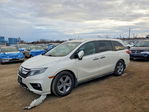 Honda Odyssey 2019