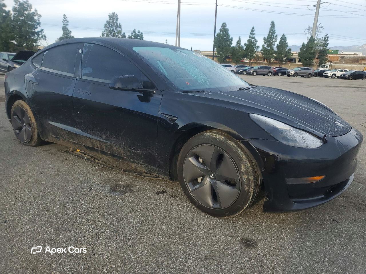 Tesla Model 3 2021