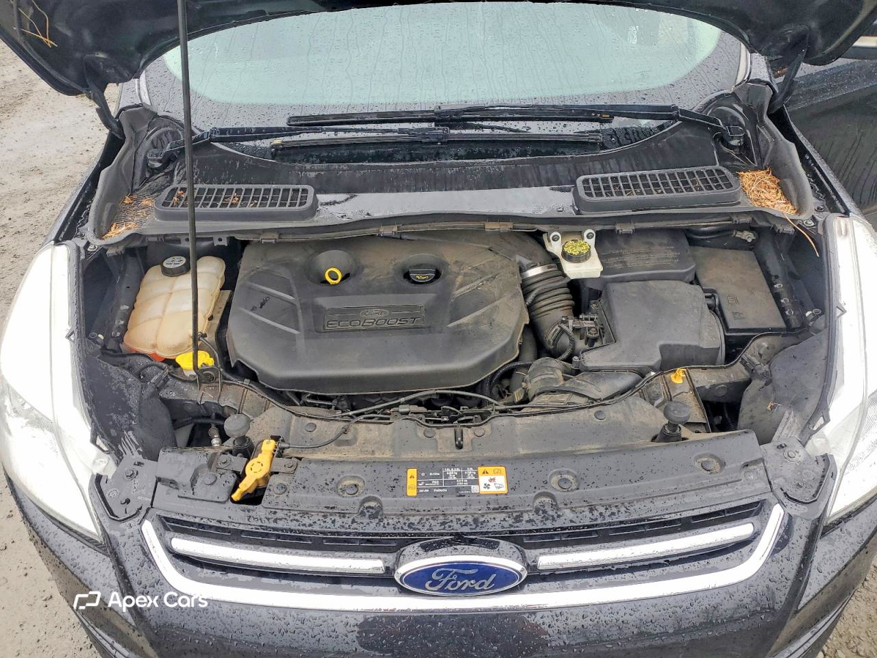 Ford Escape 2013
