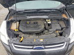 Ford Escape 2013