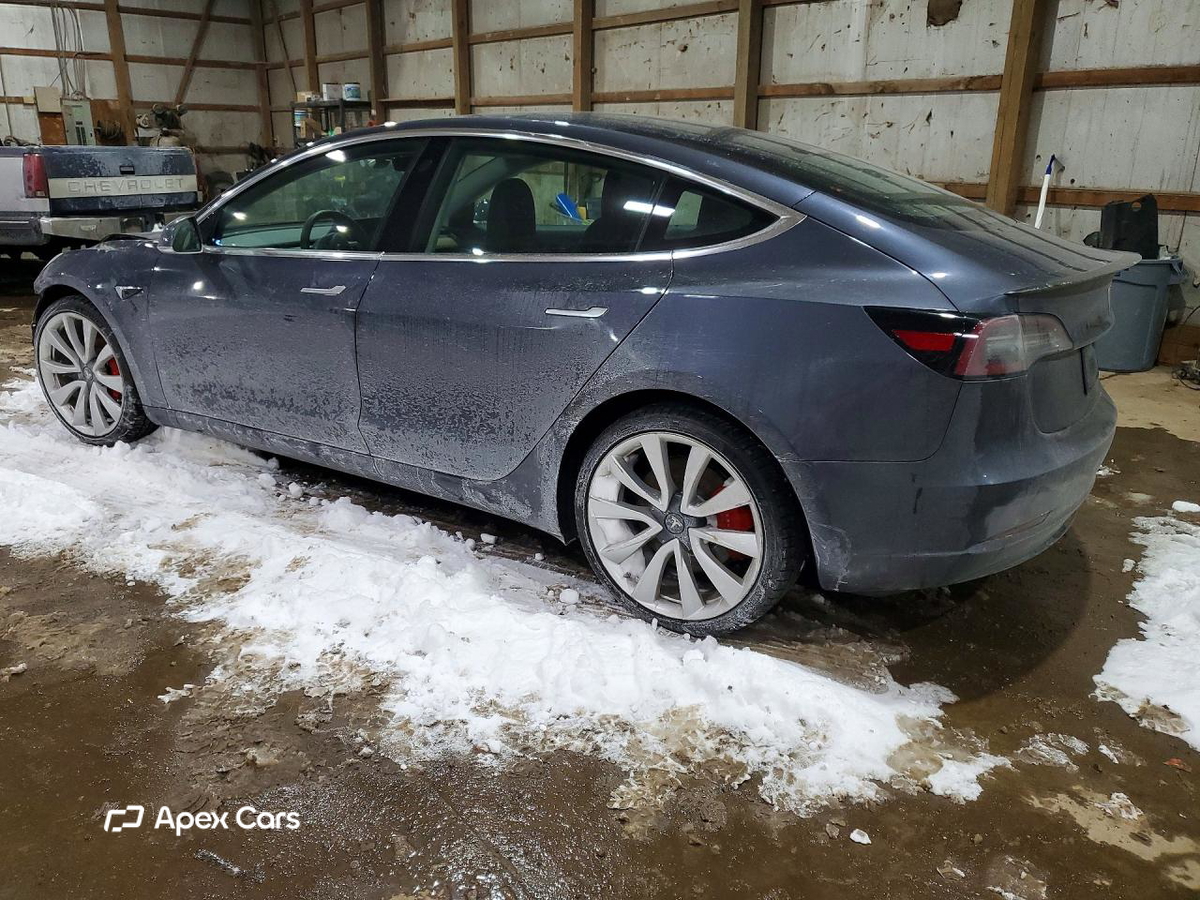 Tesla Model 3 2019