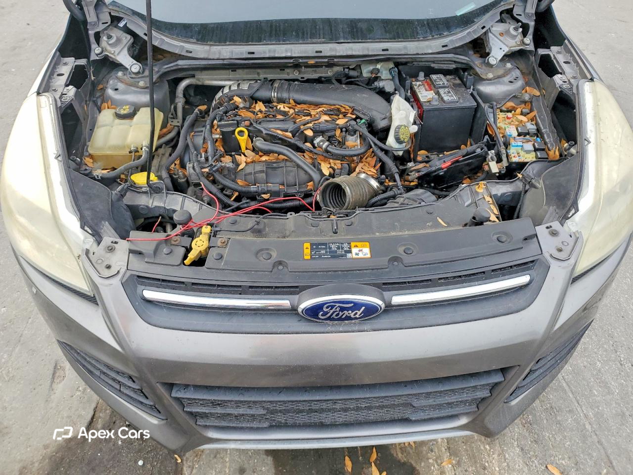 Ford Escape 2013