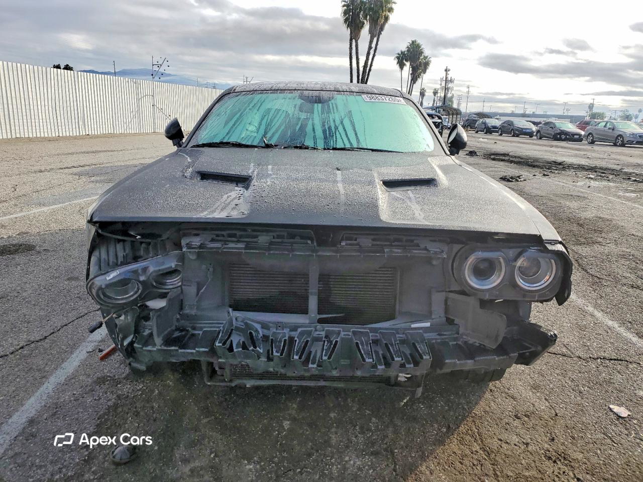 Dodge Challenger 2019