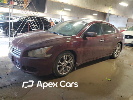 Maxima 2013 - Image 1 of 12