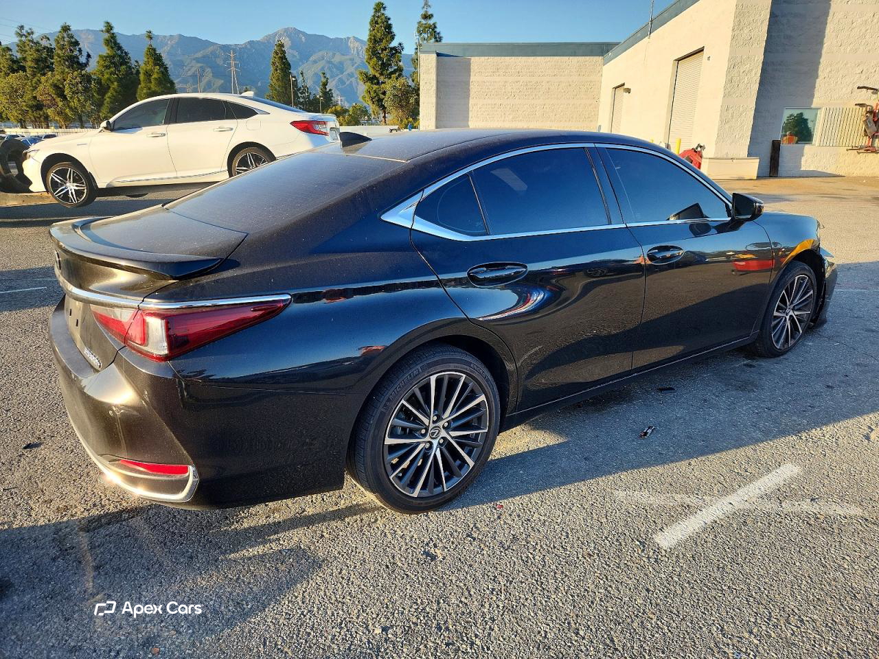 Lexus ES 2024