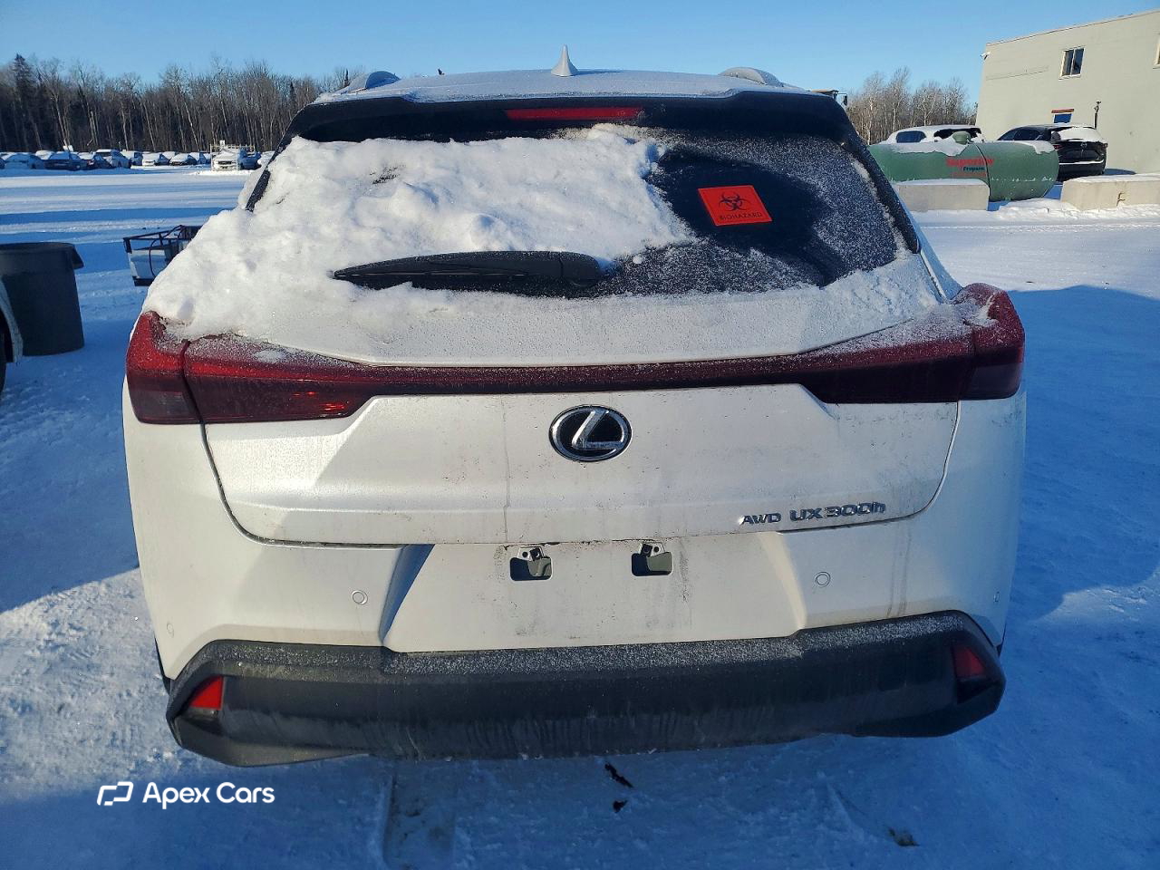 Lexus UX 2025