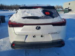 Lexus UX 2025