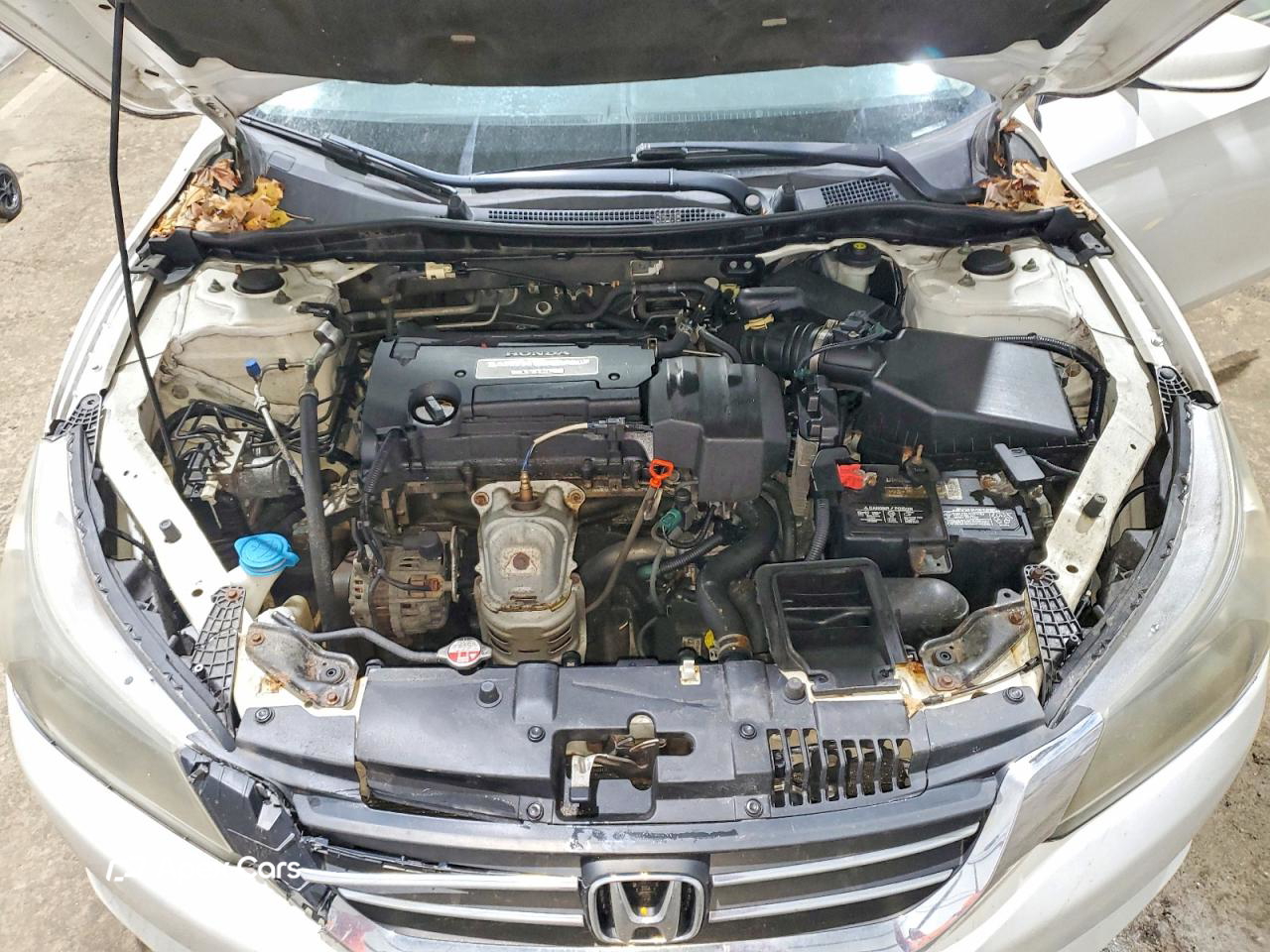 Honda Accord 2013