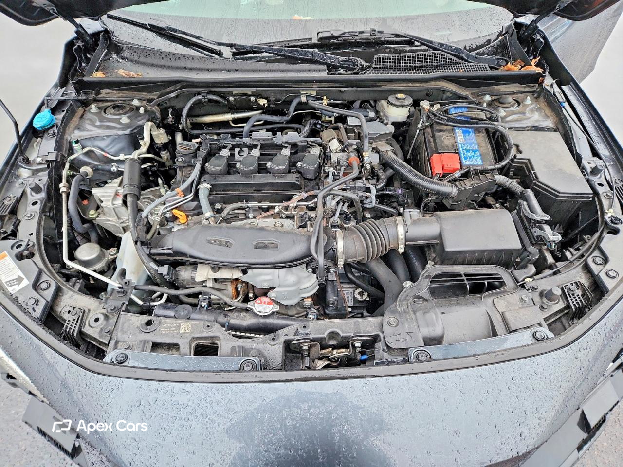 Honda Civic 2024