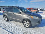 Ford Escape 2013