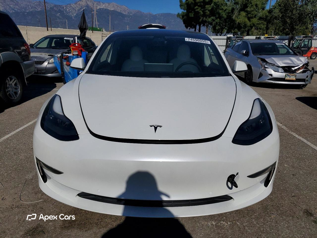Tesla Model 3 2021