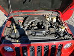 Jeep Gladiator 2020