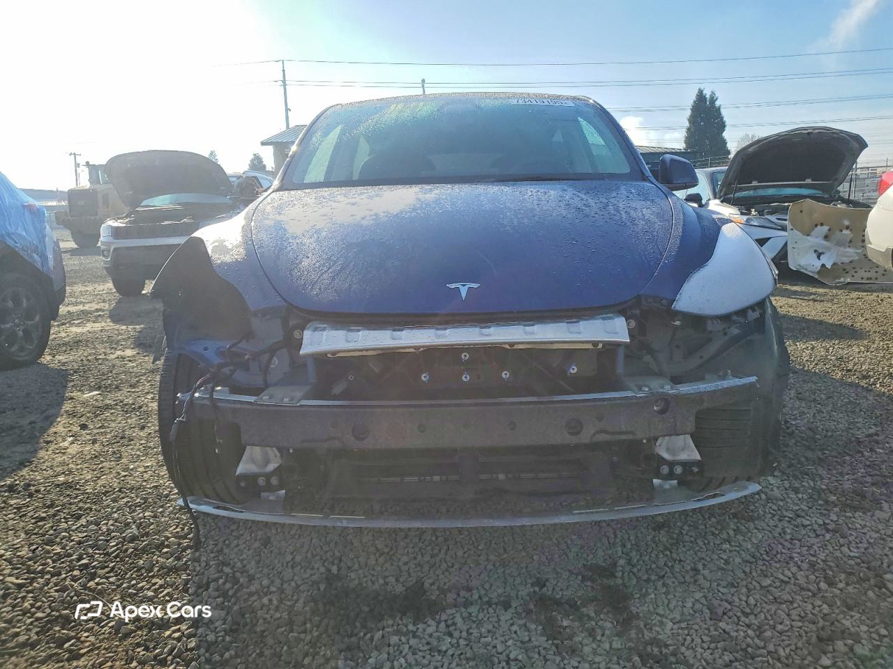 Tesla Model Y 2025