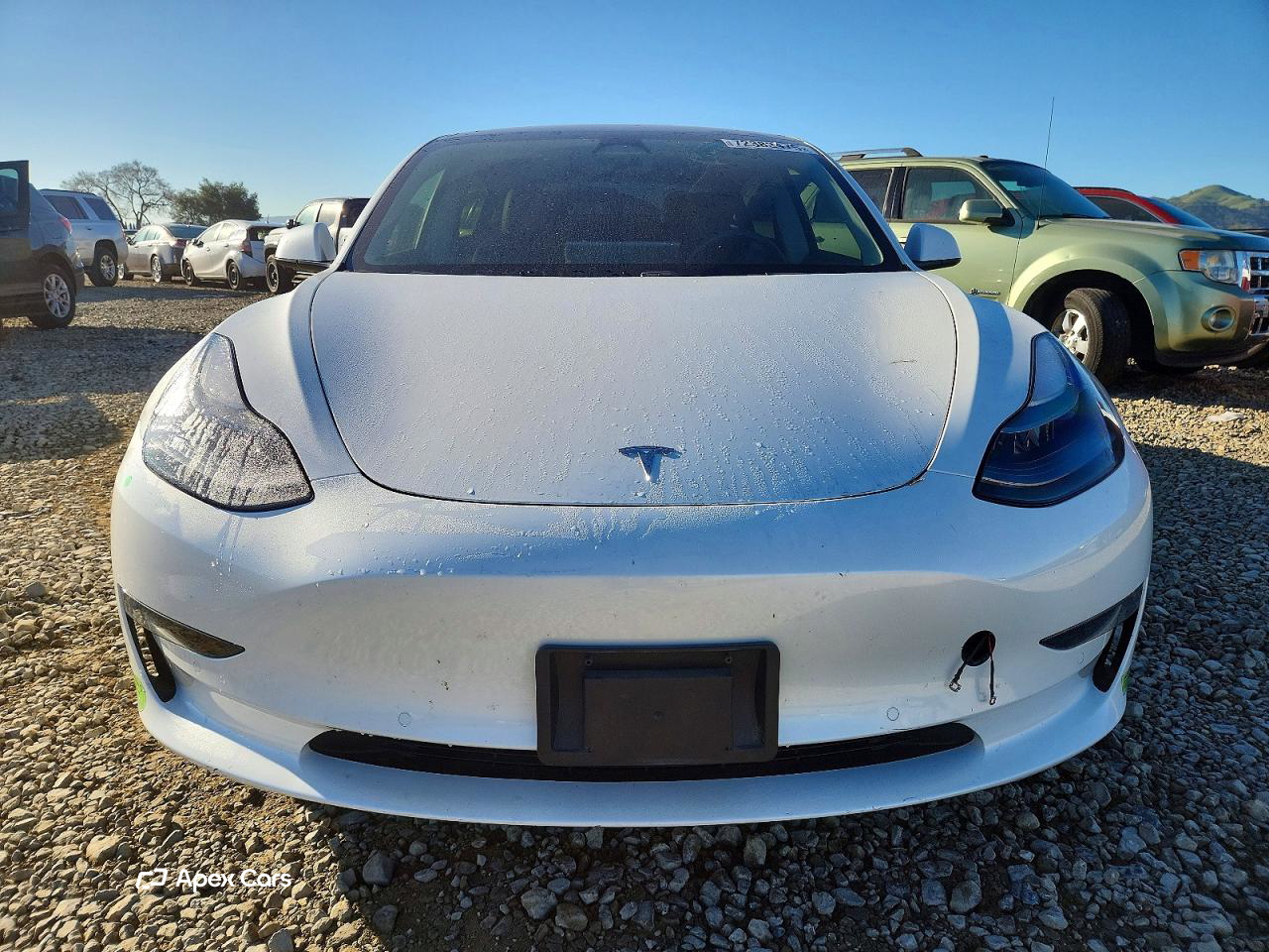 Tesla Model 3 2021