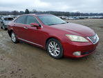 Lexus ES 2010