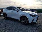 Lexus NX 2025
