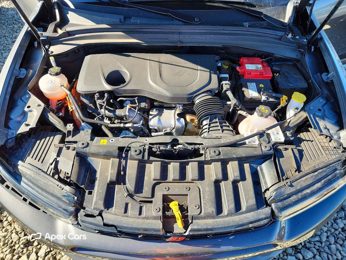 Dodge Hornet 2024