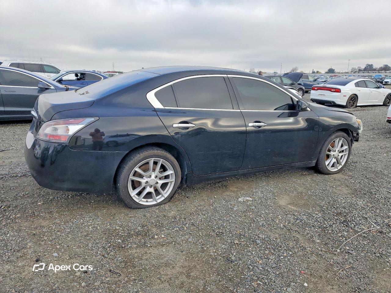 Nissan Maxima 2014