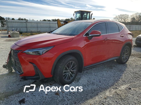 Lexus NX 2024 - Zdjęcie 1 z 14
