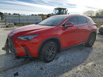 Lexus NX 2024