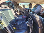 Lexus LS 2008