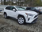 Toyota RAV 4 2024