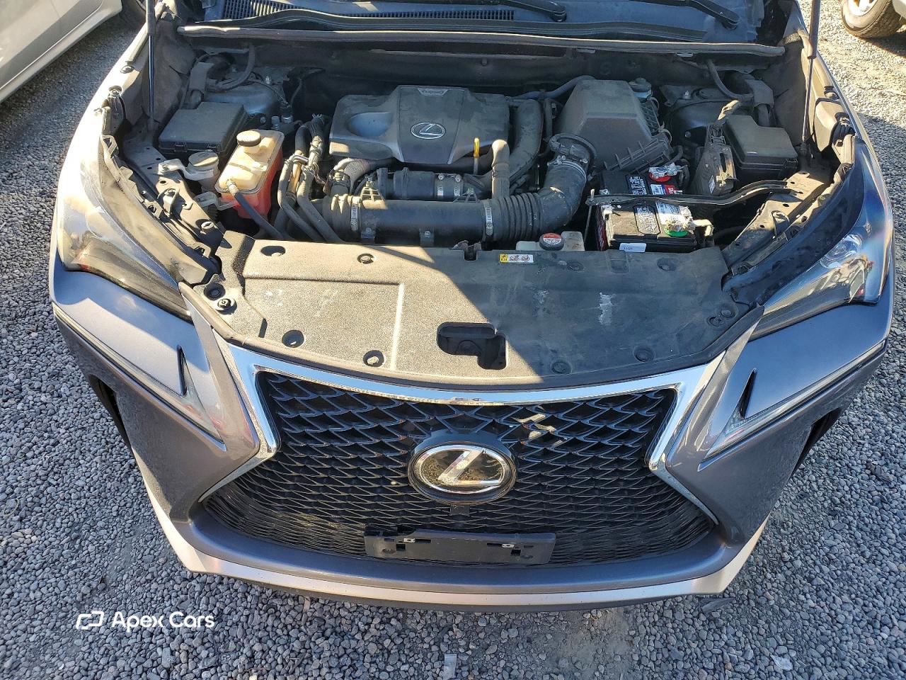 Lexus NX 2015
