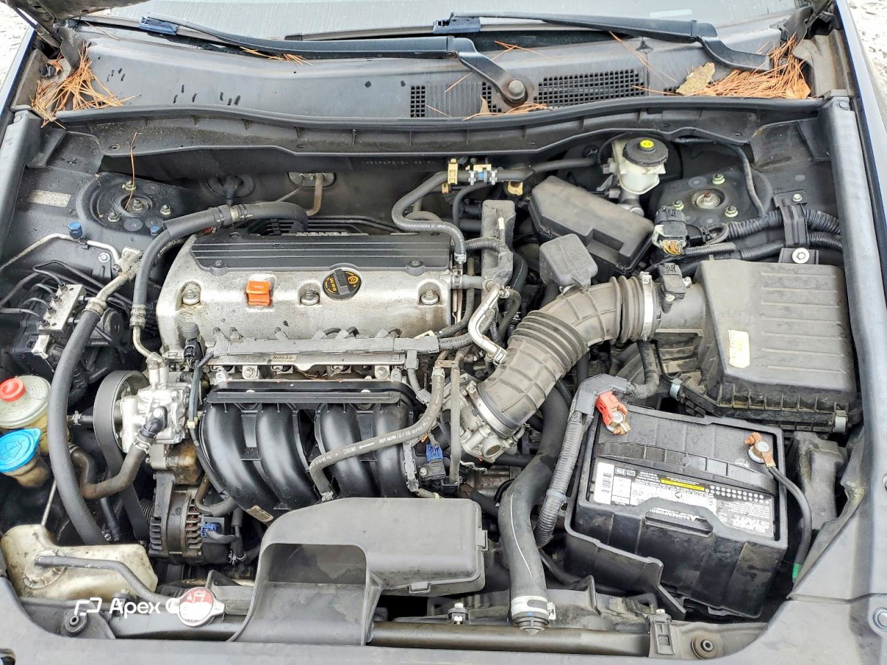 Honda Accord 2011