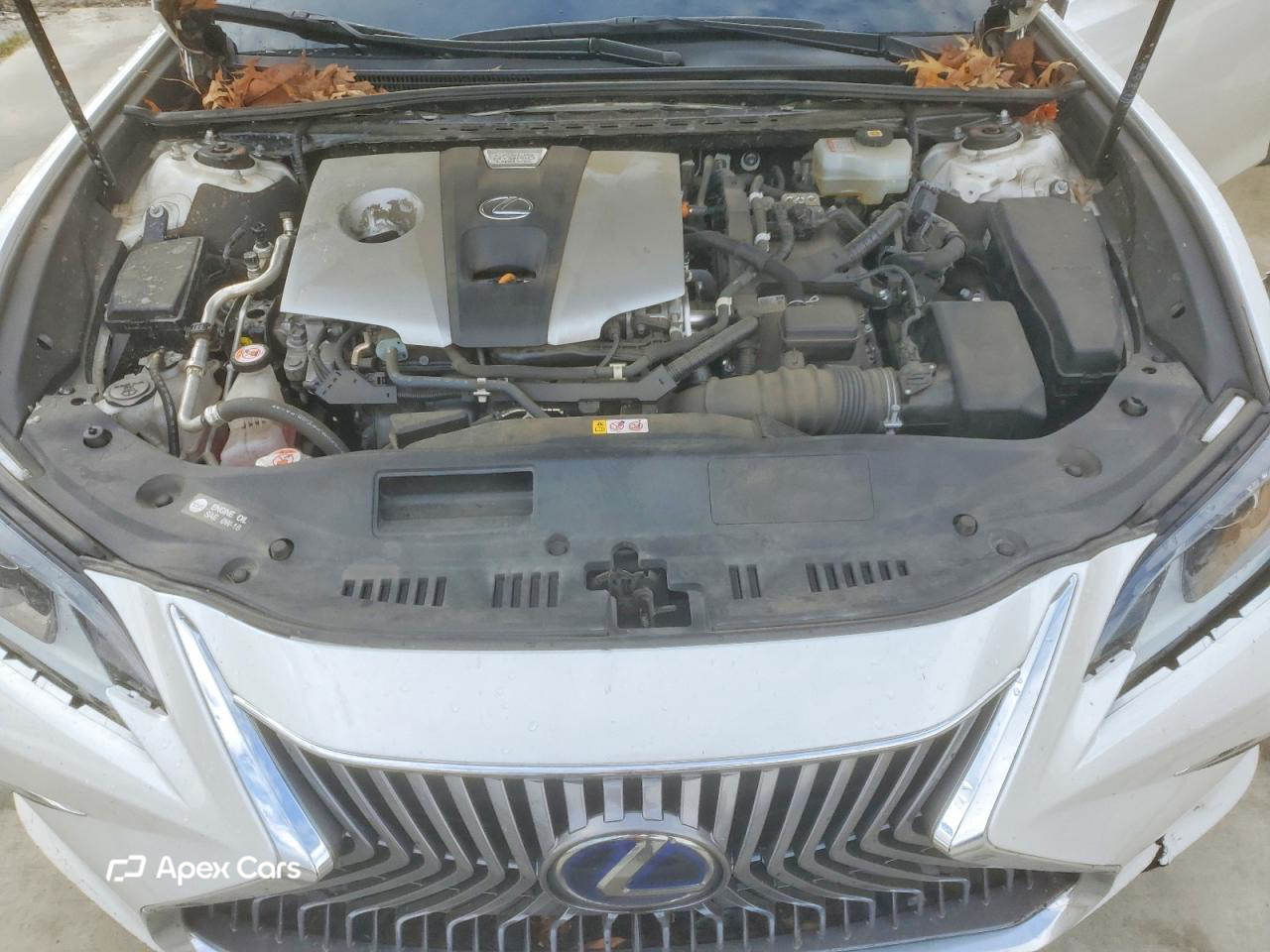 Lexus ES 2021