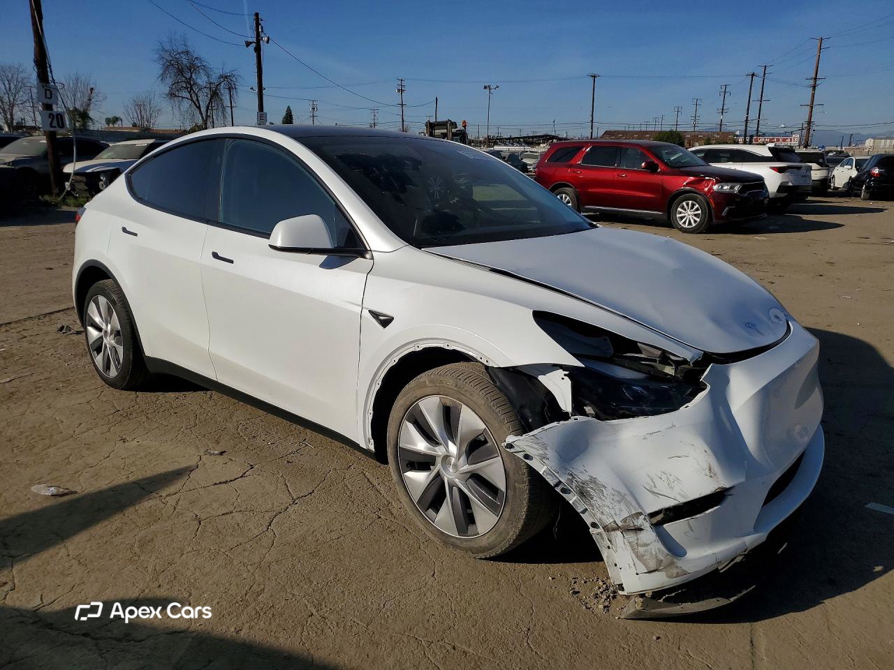Tesla Model Y 2024