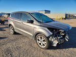Ford Escape 2013