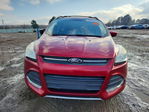 Ford Escape 2015