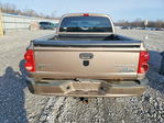 Dodge Dakota 2010
