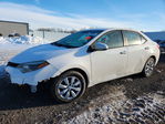 Toyota Corolla 2015