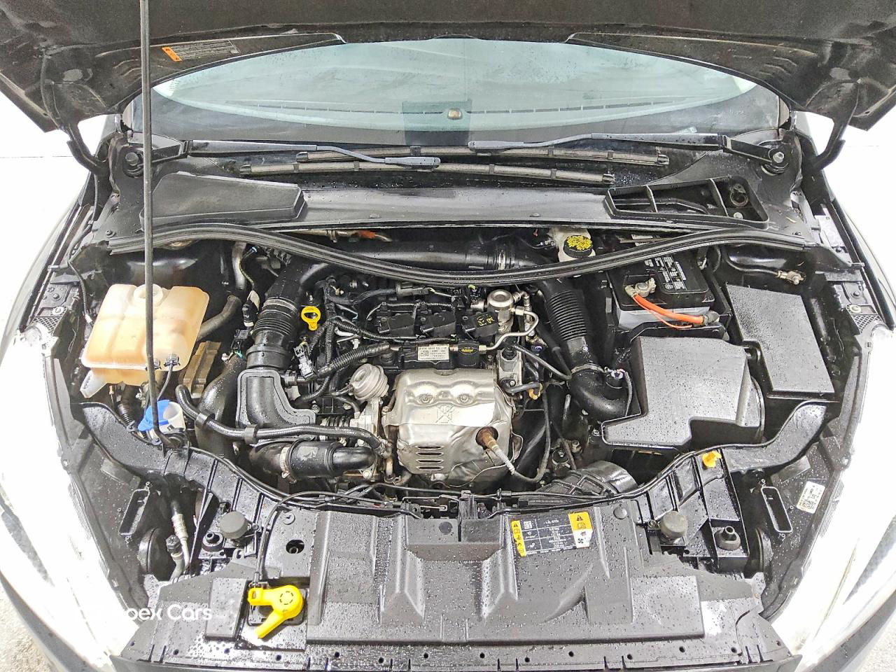 Ford Focus 2018