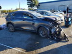 Lexus NX 2024
