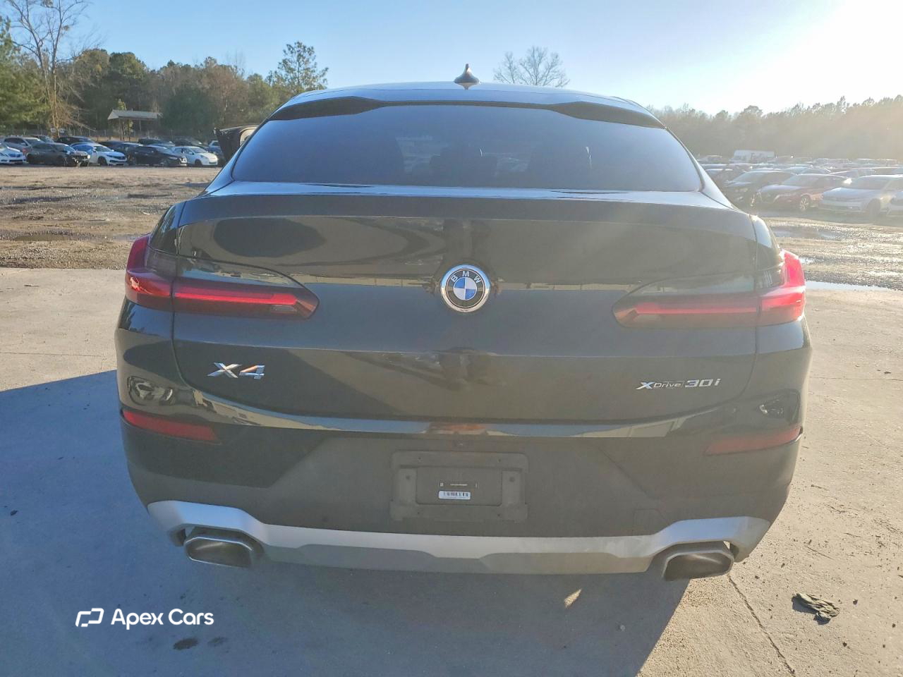 BMW X4 2024