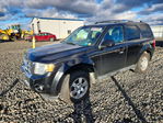 Ford Escape 2011