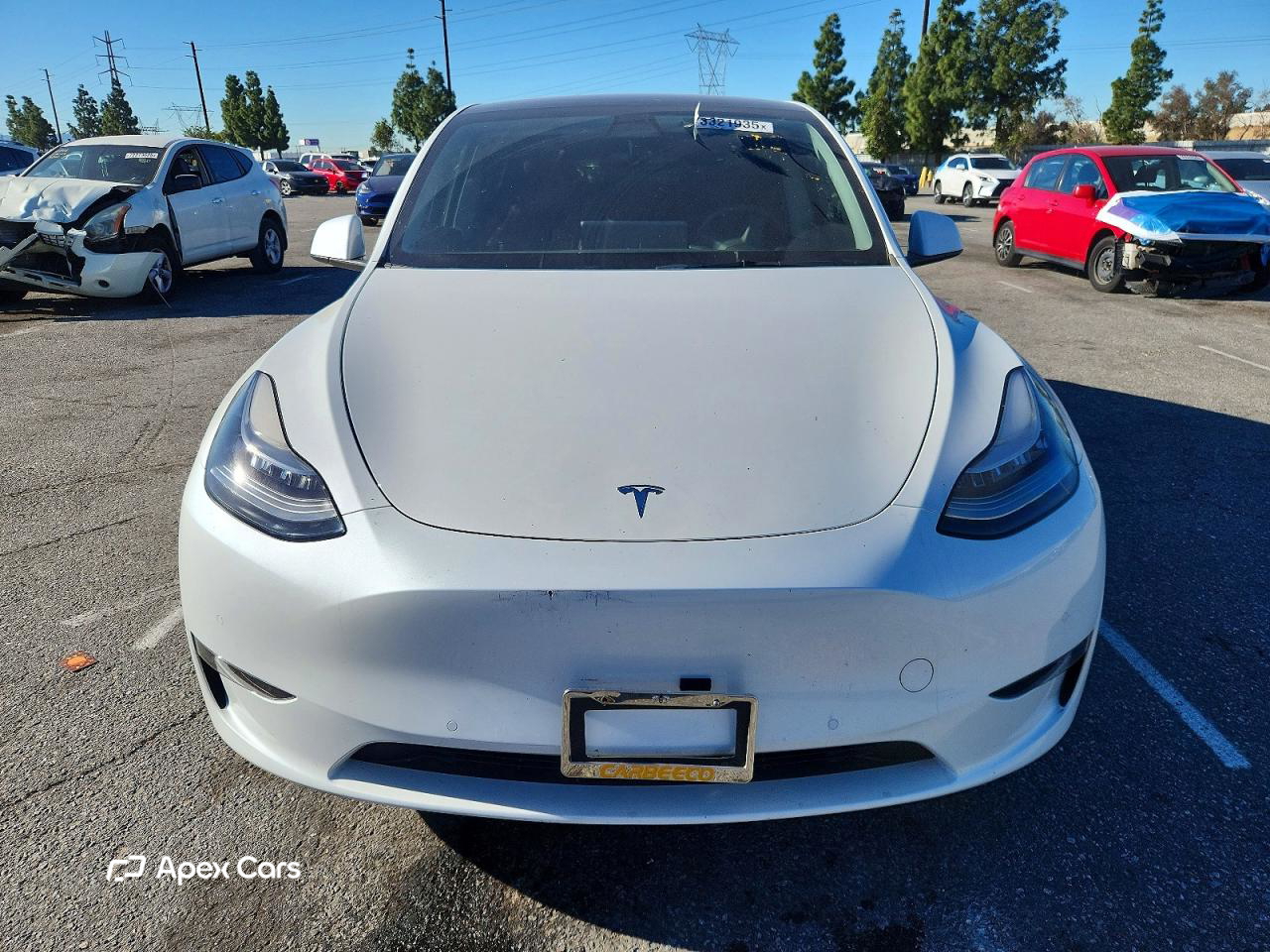 Tesla Model Y 2021