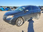 Lexus RX 2010