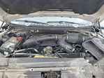 Ford F-150 2017