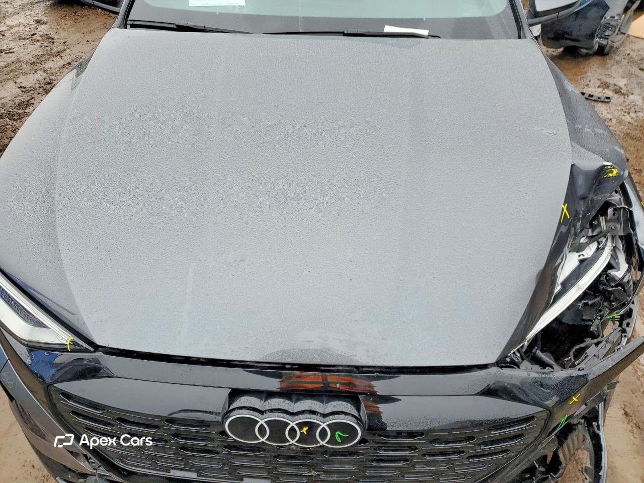 Audi Q8 2024